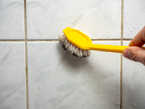 Best Mold Testing  in Wauregan, CT