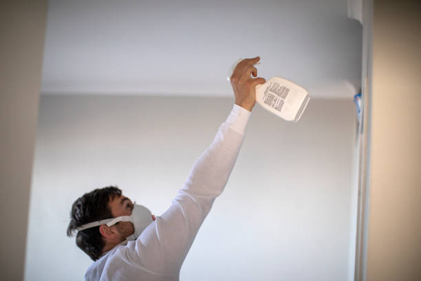 Professional Mold Removal in Wauregan, CT