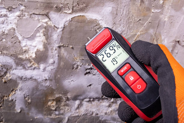 Best Residential Mold Removal  in Wauregan, CT