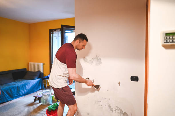 Best Affordable Mold Removal  in Wauregan, CT